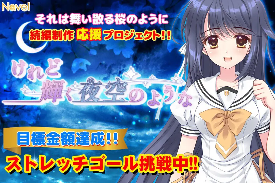 けれど輝く夜空のような