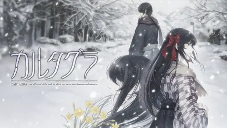 Series Banner 1