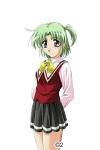 蓮見 簾