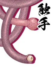 触手