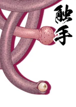 触手