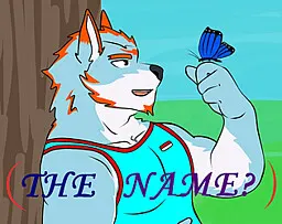 THE NAME?