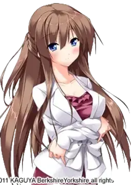 夏樫恵