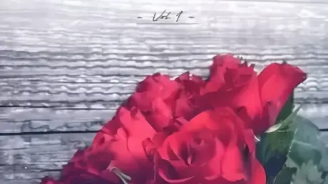 You+Me=?