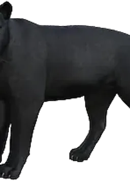 Nisha