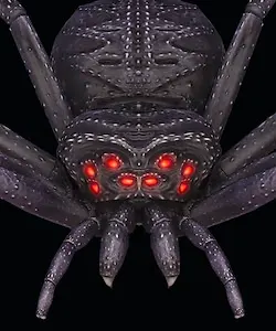 奈尔