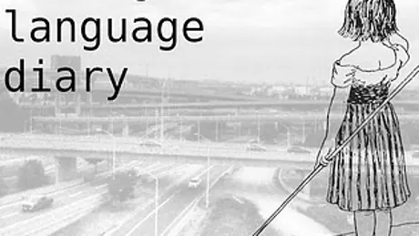 bilingual language diary