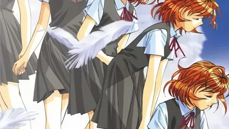 flutter of birds～鳥達の羽ばたき～