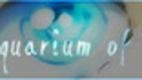 The Aquarium of Sodomy
