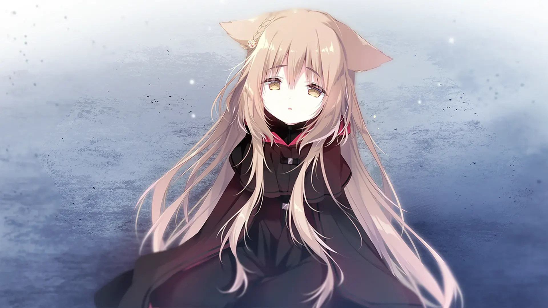 2024-02-14.png