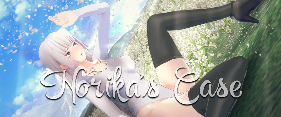 Norika's Case