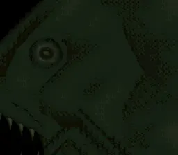 怪魚
