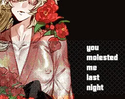 You Molested Me Last Night