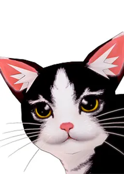 Kat