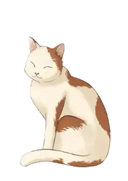 四块二