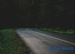 In the Woods