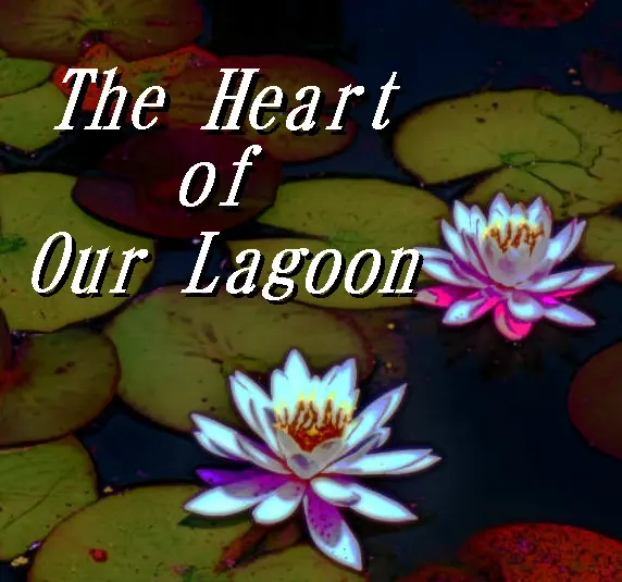 The Heart of Our Lagoon