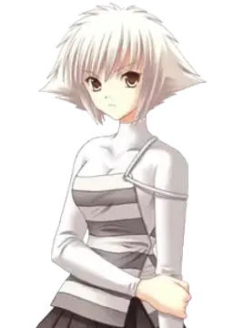 シュレティンガー
