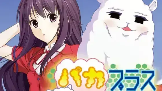 パカプラス