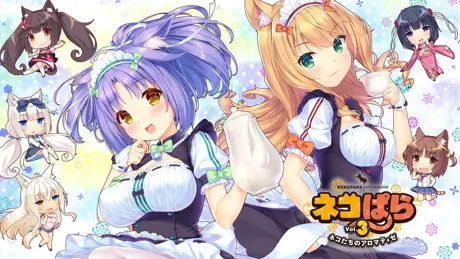 Series Banner 4
