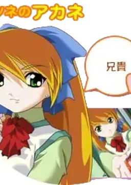 キツネのアカネ