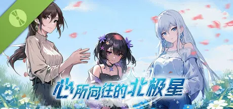 心所向往的北极星
