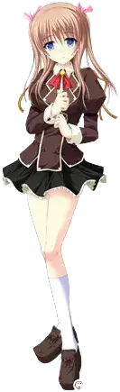 野咲雛菊