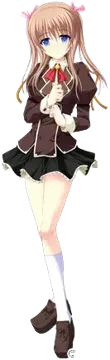 野咲雛菊