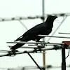 むにょっ
