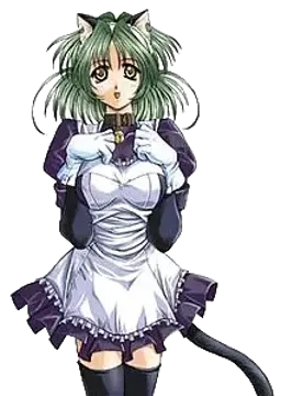 キャメリー