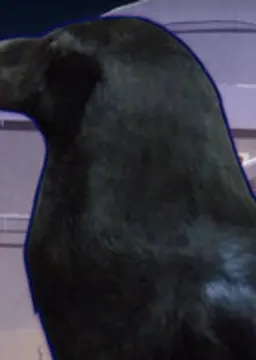 アルベールA.A.