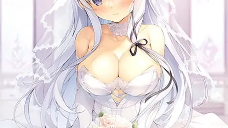 Series Banner 4