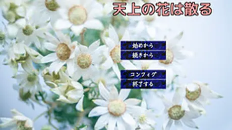 天上の花は散る