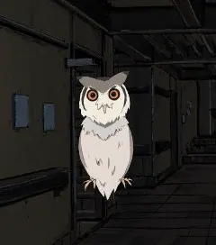 シュコ