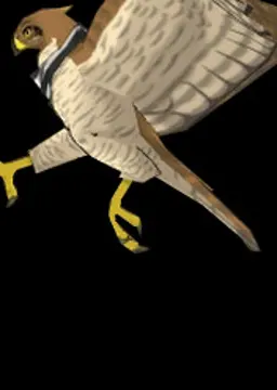 ギン