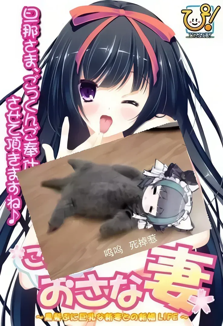 ごっくん！おさな妻 ～黒髪ぷに巨乳な新妻との新婚LIFE～