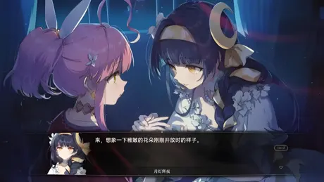梦灯花