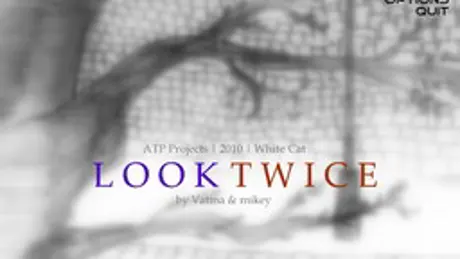 Look Twice