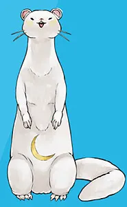 小肚肚