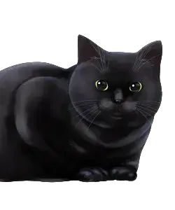 ミーたん