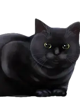 ミーたん