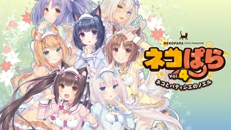 Series Banner 4