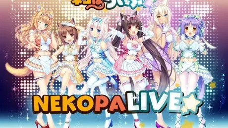 ネコぱらいぶ☆