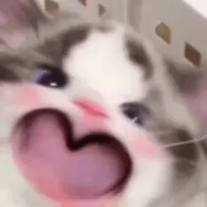 Looo