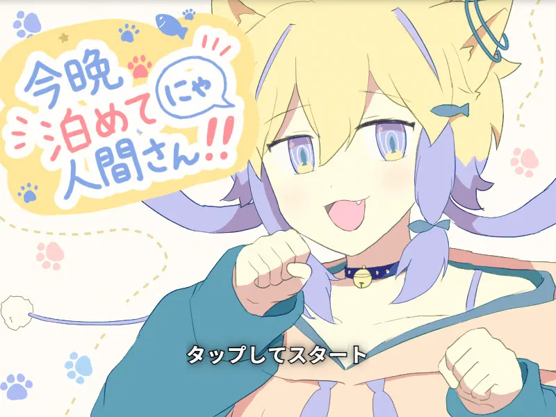 今晩泊めてにゃ人間さん！！
