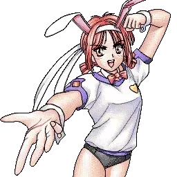 ブルマーバニー