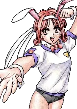 ブルマーバニー