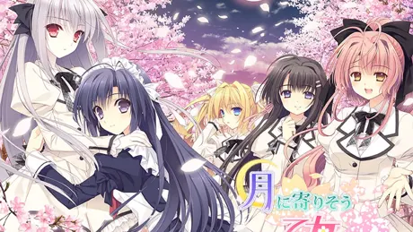 Series Banner 1