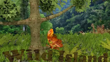 Wild Island Quest