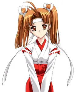 星之四